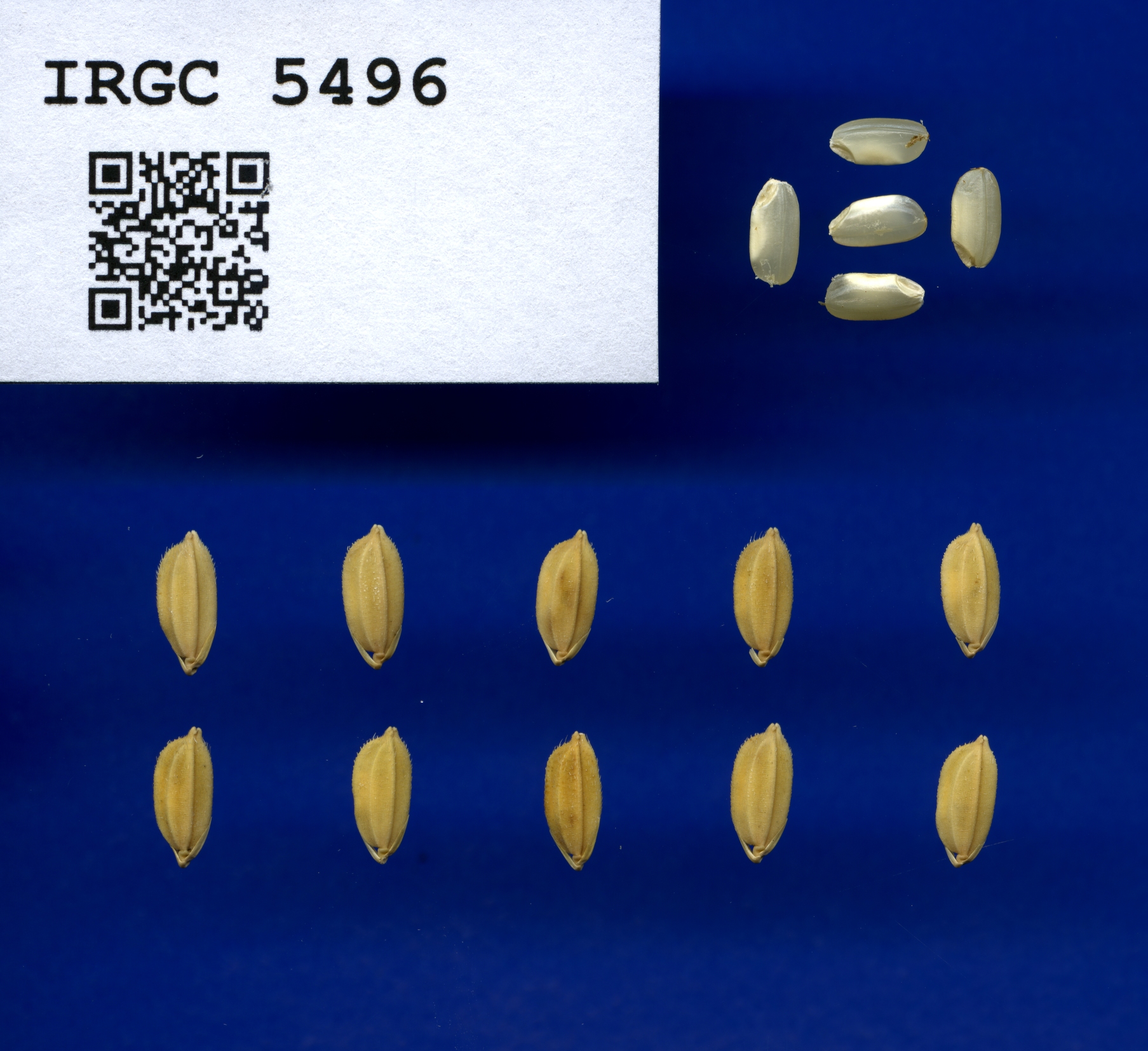 808e989c-9bad-4723-8dc9-5dfbd863f4bc.jpg
