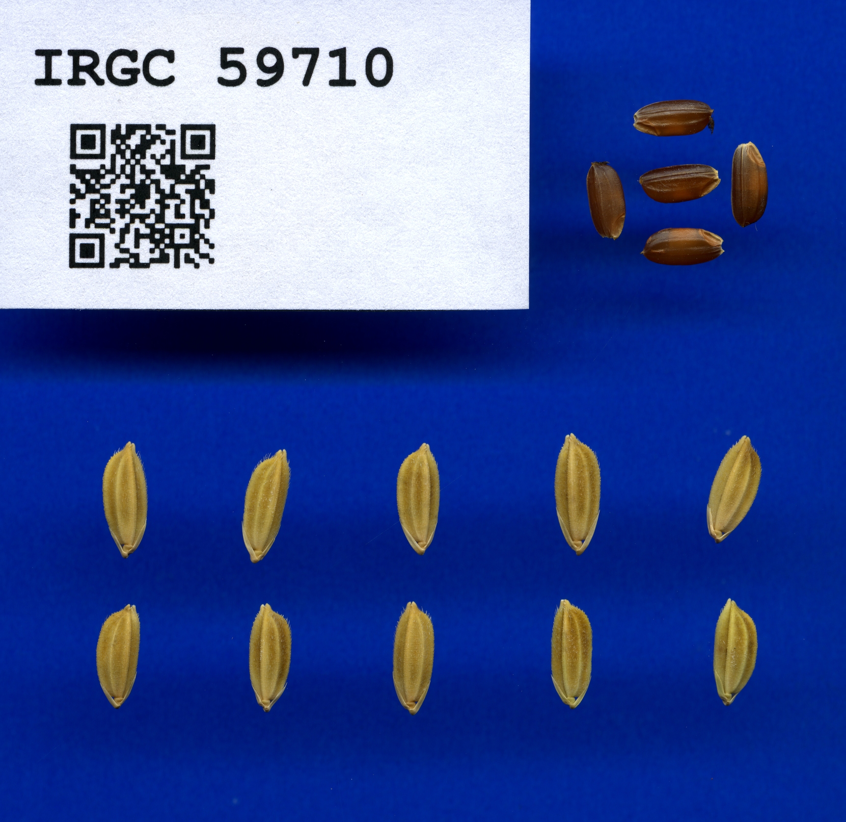 a989ecd9-5ea7-413a-bbc2-6100de2fad09.jpg